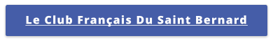 Le Club Français Du Saint Bernard