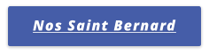 Nos Saint Bernard
